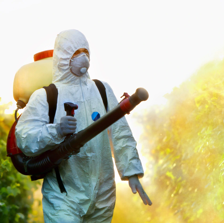 pest control spraying pesticide at the backyard