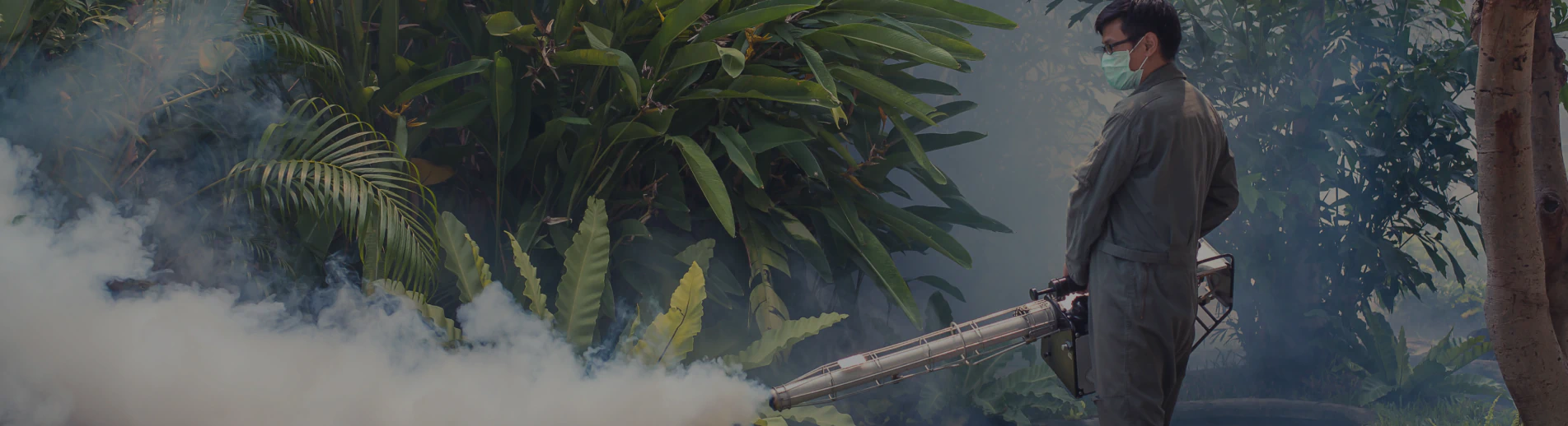 worker fogging the backyard to eliminate mosquito